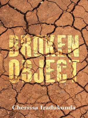 cover image of Broken Object